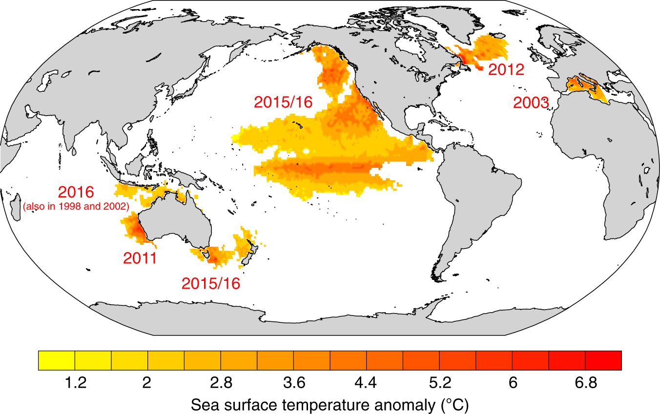 ocean temperature map