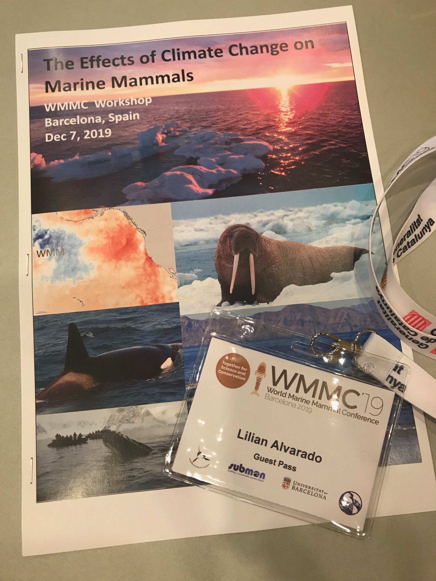 A Pamphlet With Pictures And The Text The Effects Of Climate Change On Marine Mammals