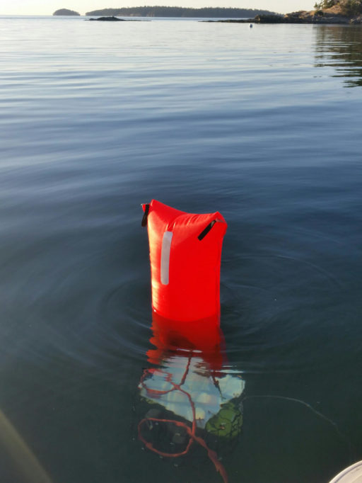 Life Vest Floating In The Water